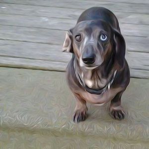 Meet your Posher, Ginger